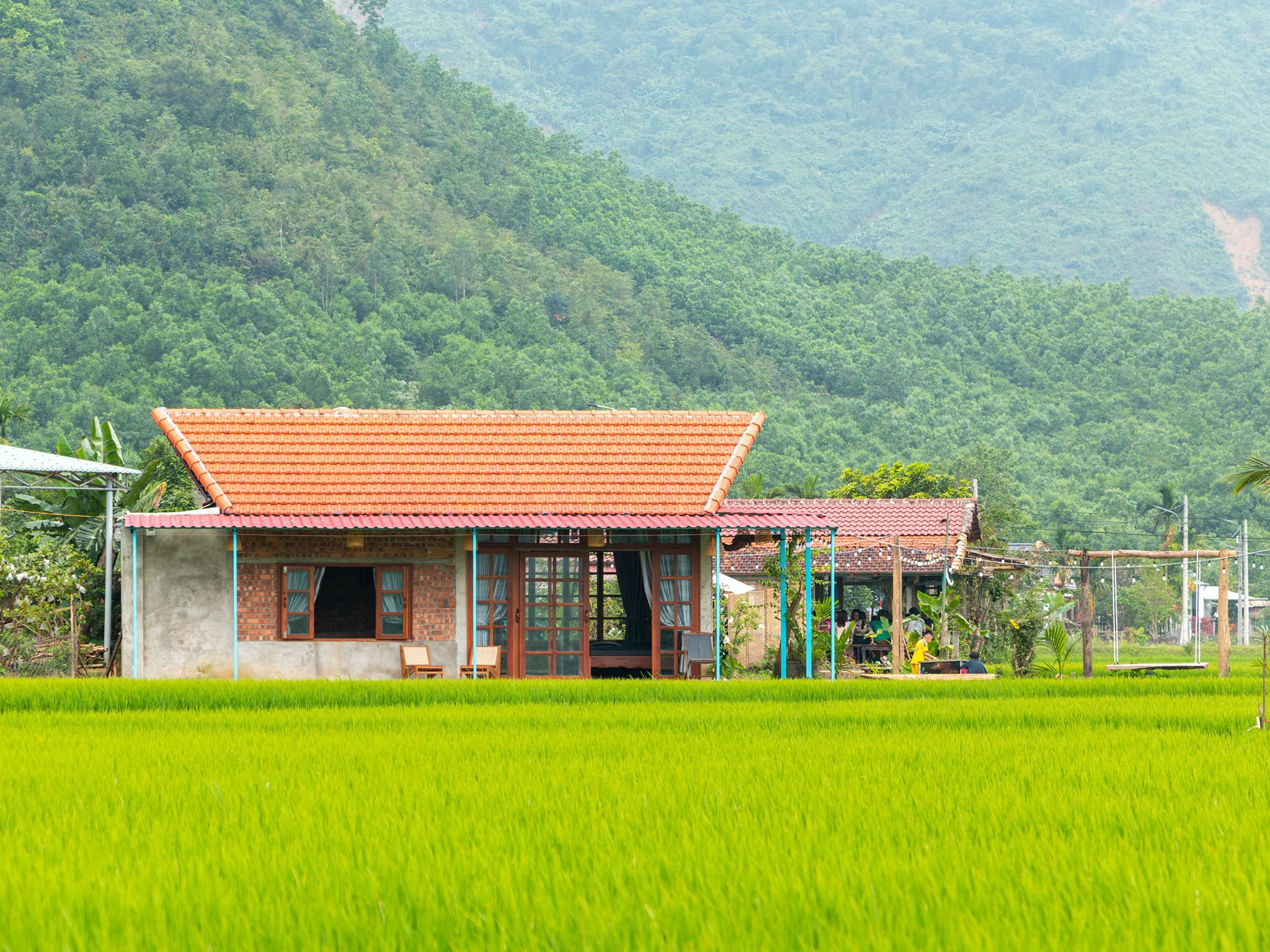 Lúa Homestay