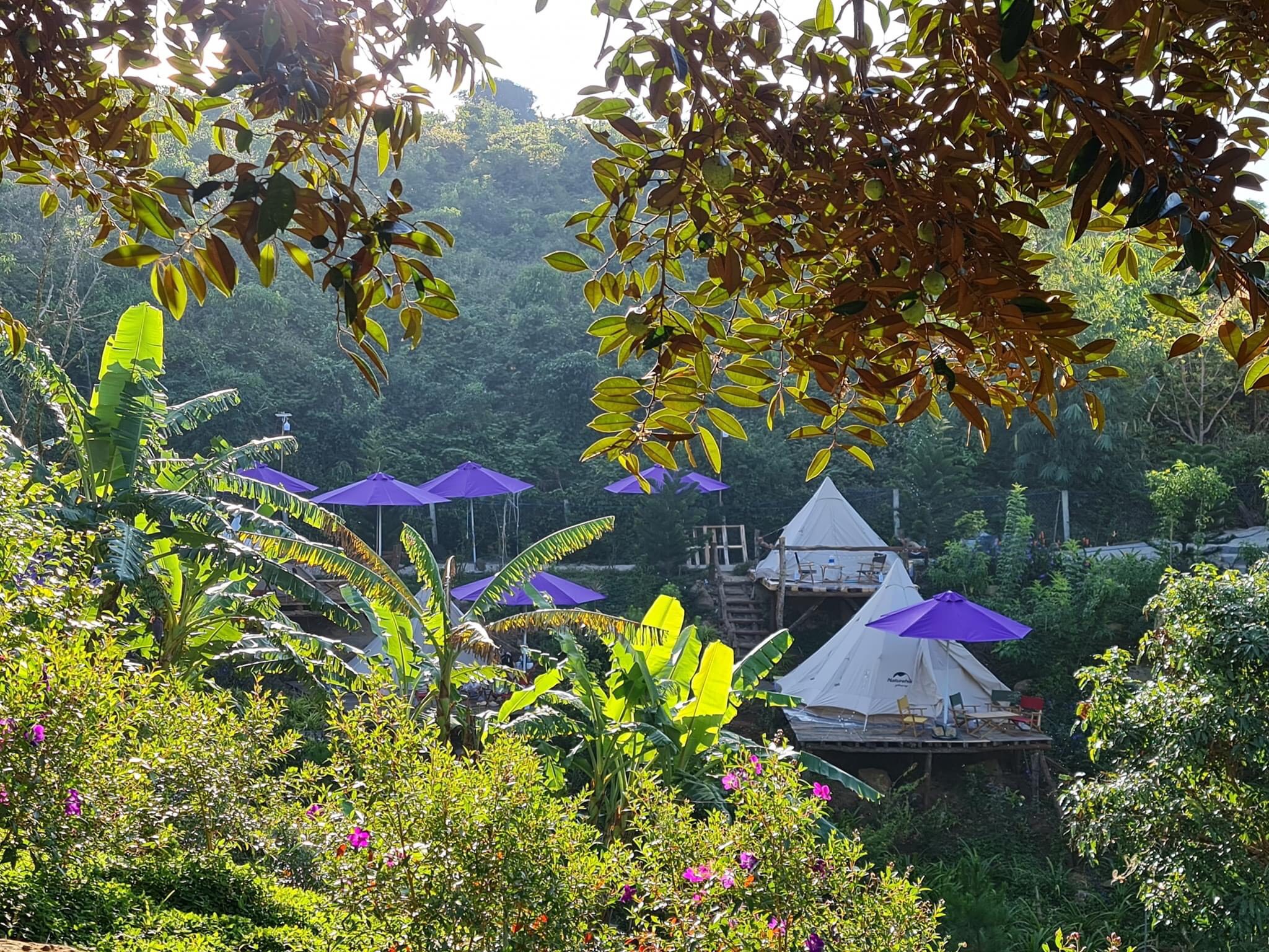 Làng Kala - Kala CamPark Glamping