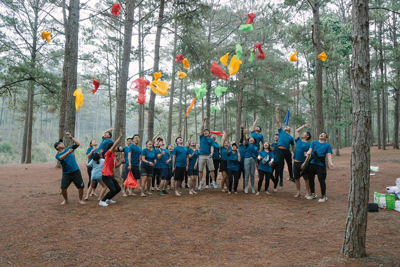 Team Building ngày trong rừng đêm ra phố không Gala Dinner